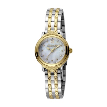  Roberto Cavalli by Franck Muller RV1L139M0041